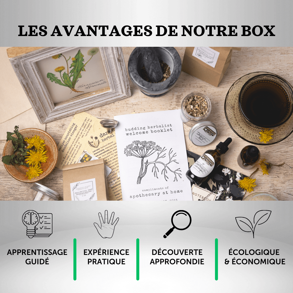 Box Initiation Herboriste - Petit Herboriste