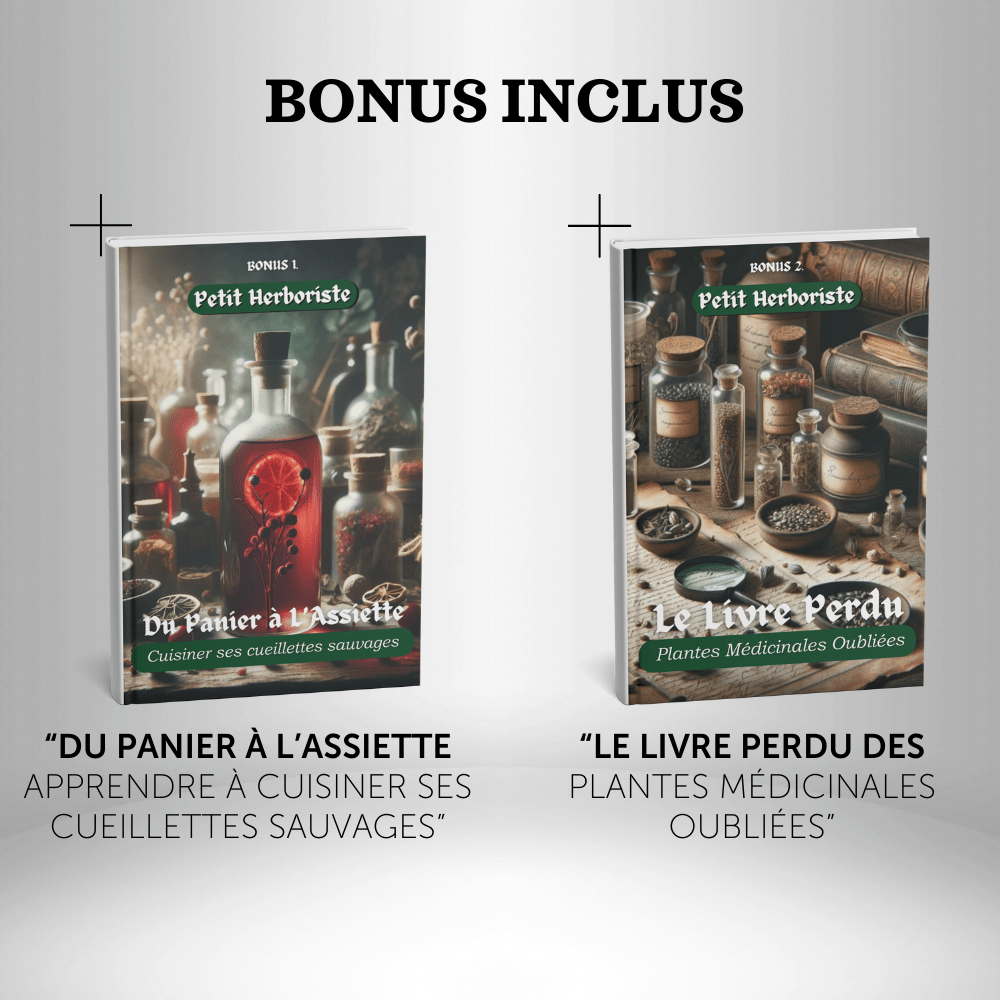 Box Initiation Herboriste - Petit Herboriste